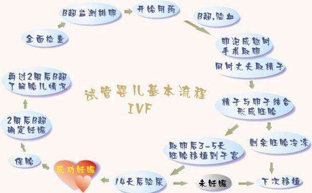 试管婴儿流程