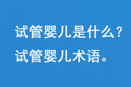 试管婴儿是什么，试管婴儿术语