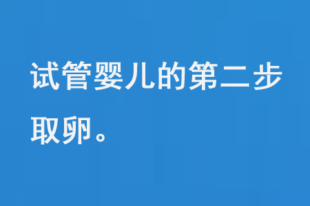 试管婴儿过程的第二步——取卵