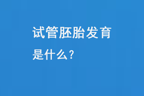 试管胚胎发育是什么？