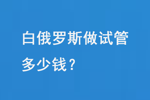 白俄罗斯做试管多少钱？